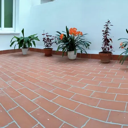 公寓 Ds Plaza Colon *